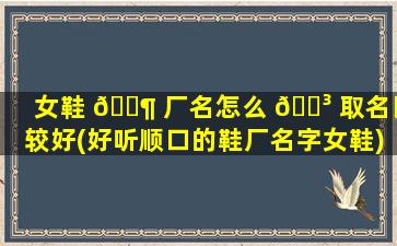女鞋 🐶 厂名怎么 🌳 取名比较好(好听顺口的鞋厂名字女鞋)